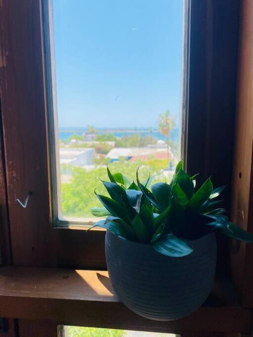Apartamento Casa Bahia 2 Blocks Malecon Amaizing Ocean View La Paz Exterior foto