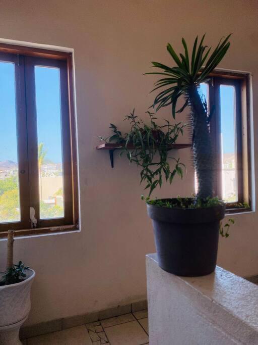 Apartamento Casa Bahia 2 Blocks Malecon Amaizing Ocean View La Paz Exterior foto
